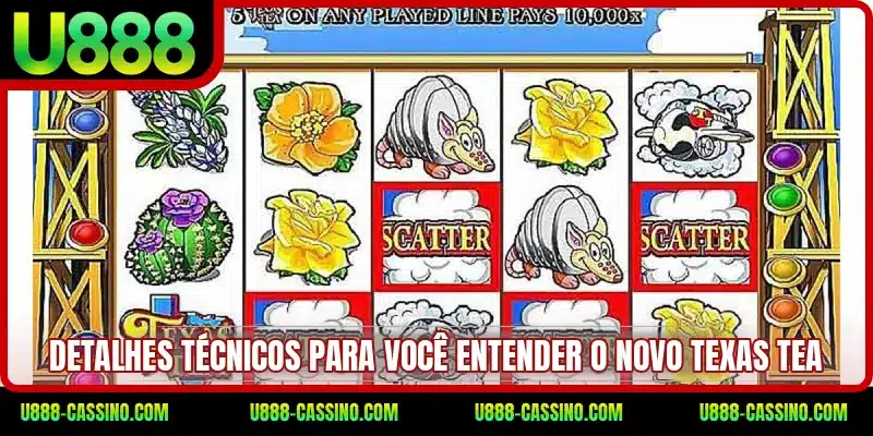 Detalhes técnicos para você entender o novo Texas Tea