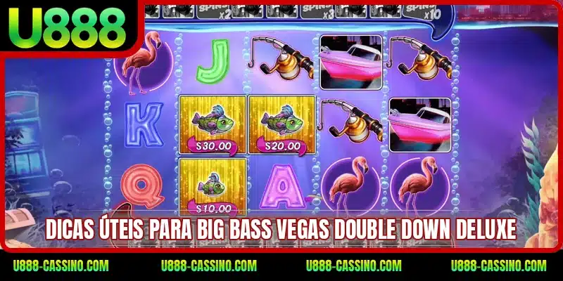 Dicas úteis para Big Bass Vegas Double Down Deluxe